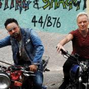 Sting & Shaggy 44/876