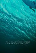 The Shallows