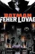 Batman - Fehér lovag