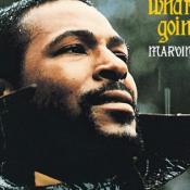 Marvin Gaye Whatʼs Going On