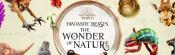 Fantastic Beasts The Wonder of Nature