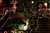 Dyker Heights 14