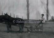 Vetés Bárándpuszta 1910