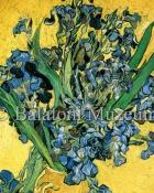 Vincent van Gogh Íriszek képeslap