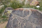 Ibex petroglyph the Sak-Usun period