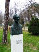 Tóth Árpád szobor Debrecen