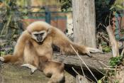 Tiergarten Schönbrunn 20