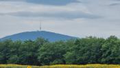 Már látszik a tokaji Kopasz-hegy