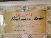 Fruhmann Antal 33