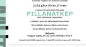 Rómer Múzeum Pillanatkép