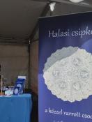 Hungarikum a Halasi csipke