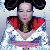 Björk Homogenic