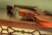 Violin