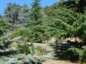 Folly Arborétum 40