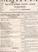 Högyfutár folyóirat 1858