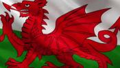 Wales kitűző
