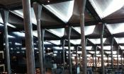 Bibliotheca Alexandrina 24