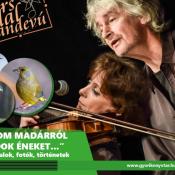 Vers-dal randevú Hangraforgó