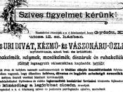 A Gerő Testvérek Áruháza 03