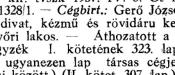 A Gerő Testvérek Áruháza 16