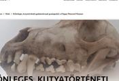 Magyar Nemzeti Múzeum kutyatörténeti kiállítás