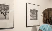 Roy Mittelman: André Kertész bűvöletében 04