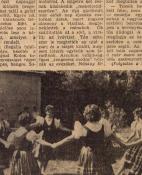 Szúnyog-sziget Győr 06