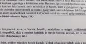 Részlet a kiállítás anyagából 14