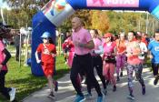 Pink futás Győr 21