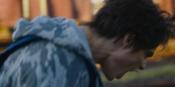 Larry film