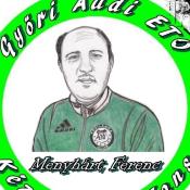 Menyhárt Ferenc ETO Kézilabda Fans