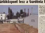Gardénia Csipkefüggönygyár 20